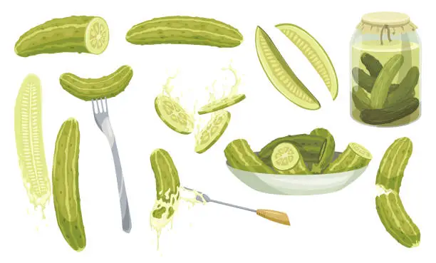 Vector illustration of Homemade pickled cucumbers. Clip-arts of marinated food for packaging, label, menu, signboard or showcase. Fermented veggies, crunch gherkin with salt. Healthy vegetarian foods