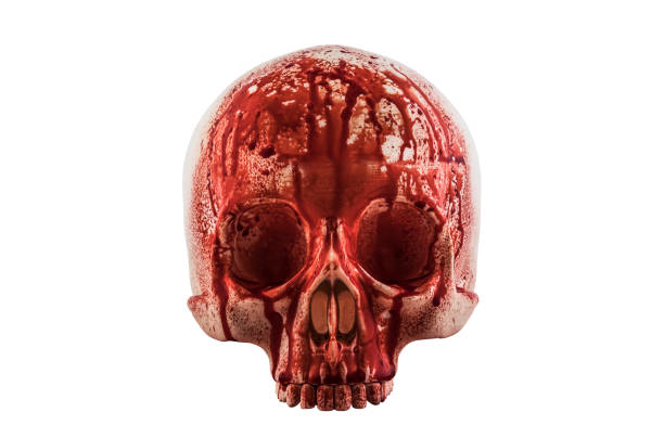 Human skull in blood isolated on white background with clipping path stock photo