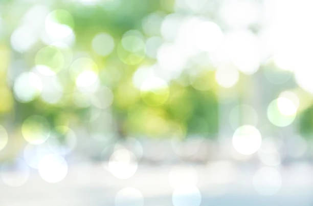 istock Green background blur,holiday wallpaper 1452701817