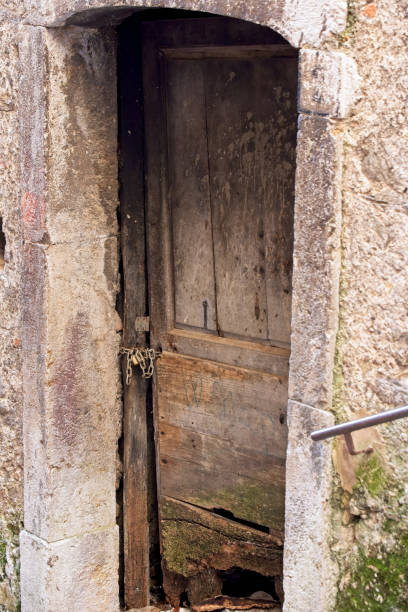 istock Ancient door in Piaggine village 1452704335