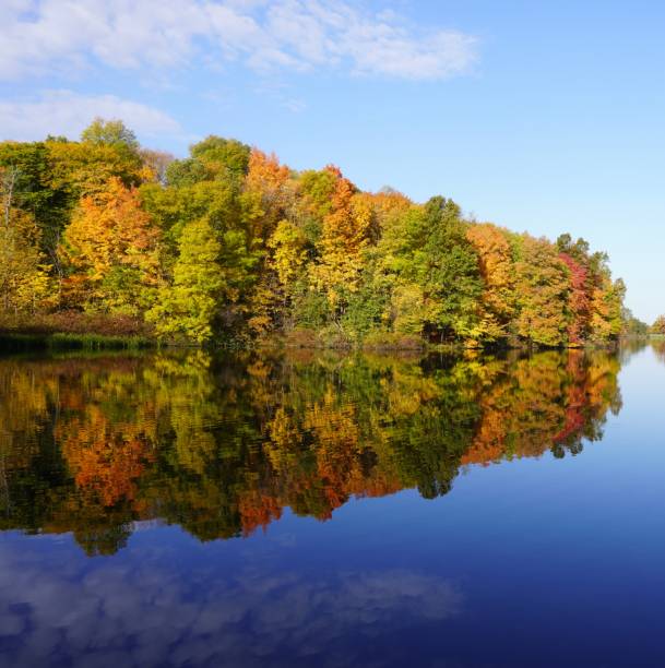 istock Hudson Springs Park - Fall Colors 1452705492