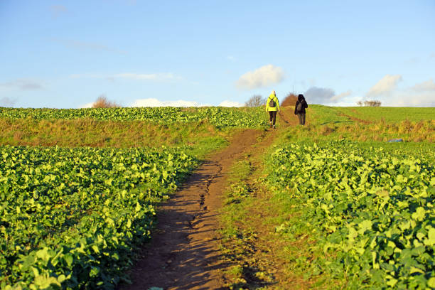 Tiveton, in Rotherham, is a lovely, rural and scenic area for walking at all times of year. It is part of the Rotherham Doorstep Challenge number 16.