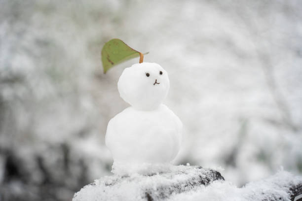istock a snowman with a snowy landscape 1452715252