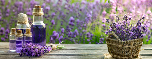 istock Essential oil bottle and lavender flowers field 1452715575