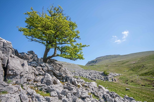 A walk up to Ingleborough peak through the Yorkshire Dales on a summers day