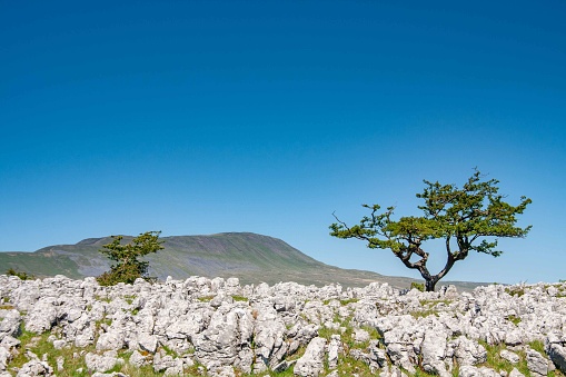 Views of Ingleborough peak in the Yorkshire Dales National Park on a sunny summers day