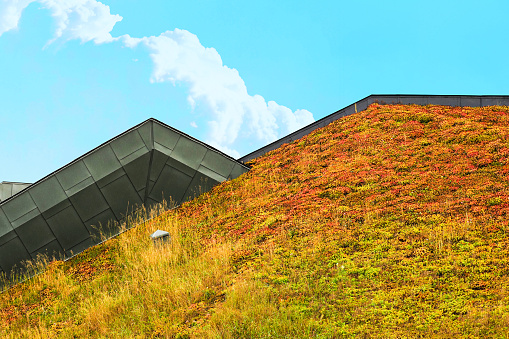 Modern eco-friendly house, green roof. Environmentally friendly roof in a residential area