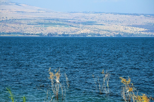 A landscape in the Kineret lake (Sea of Galilea), Tiberias, Northern Israel