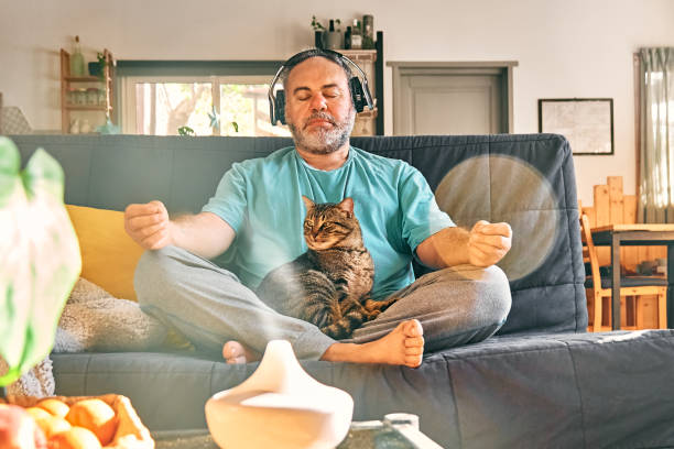 무선 헤드폰을 착용한 성숙한 중년의 과체중 남성은 집에서 고양이와 함께 휴식을 취하고 명상을 안내하고, 스마트폰으로 편안한 음악을 듣고, 연꽃 자세로 명상을 하고 있다. - men yoga meditating cross legged 뉴스 사진 이미지