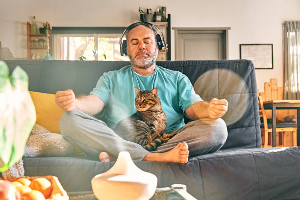 mature middle-aged overweight man in wireless headphones relaxing at home with his cat and guided meditation, listening to relaxing music on smartphone and meditating in lotus pose. - plussize model fotos stockfoto's en -beelden