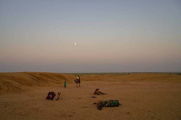 istock Moon set. View of Thar desert sand dunes , pre dawn light before sun rise and moon setting off in the sky. Rajasthan, India. 1452726694