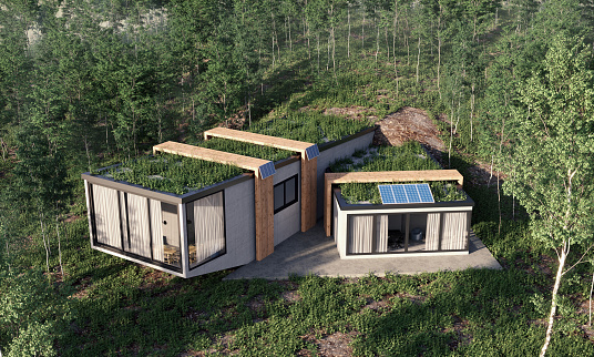 Modern designed energy efficient house with solar panels and green living roof. (3d render)