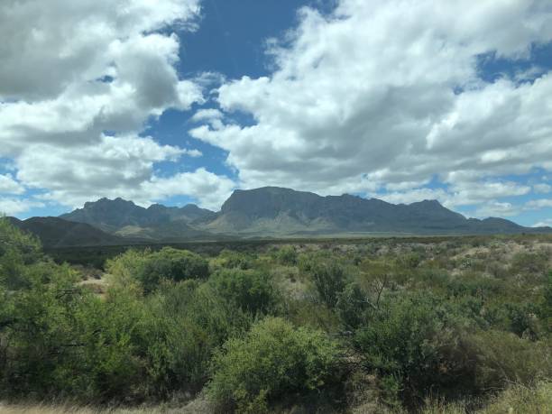 istock Big bend National park - Texas - beautiful nature 1452731169