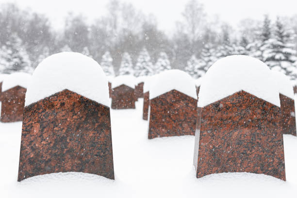 tombstone in a cemetery covered with snow in winter. monument in the cemetery. grave in the cemetery in winter
