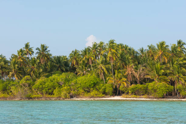 istock Remote tropical island with thick vegetation an coconut palm trees 1452734988