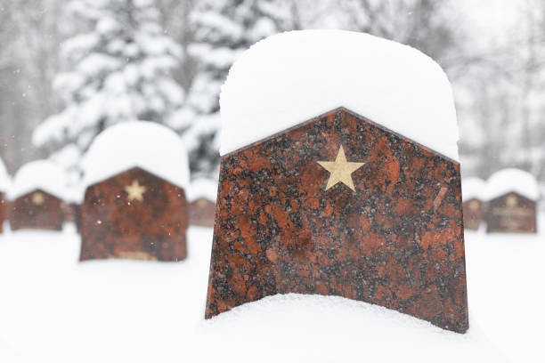 tombstone in a military cemetery covered with snow. headstone covered with snow. military cemetery. cemetery in winter