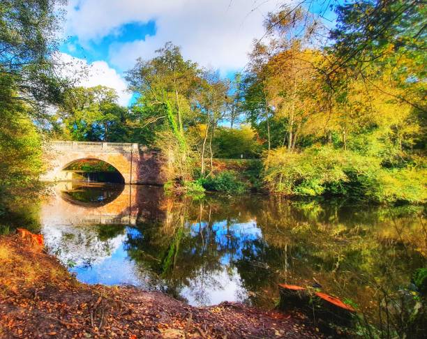 istock Beautiful autumn lake with a bridge and trees reflected in it 1452735066