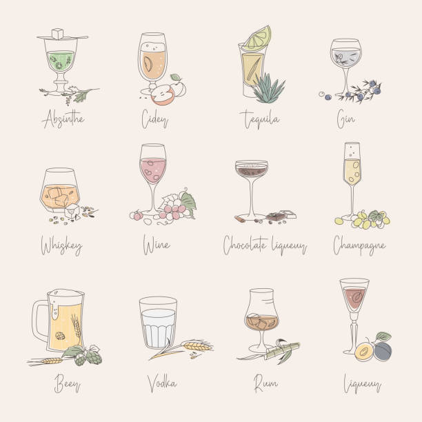 ilustrações de stock, clip art, desenhos animados e ícones de icons set of various alcohol types with components in different glasses. - wine glass champagne cocktail