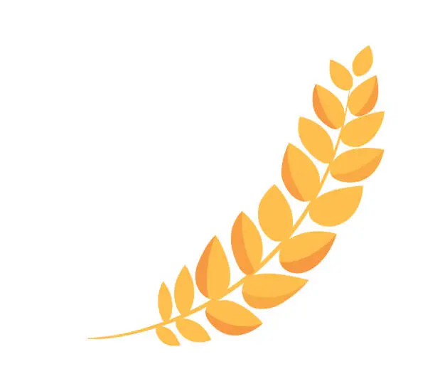 Vector illustration of Wheat wreath element. Vector illustration