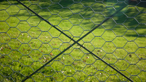istock Green field behind wire fence 1452738626