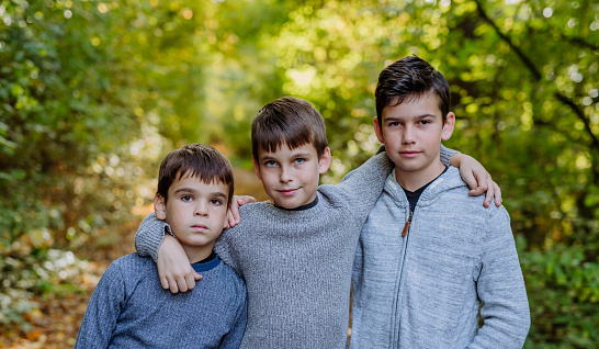 Portrait of three boys, brothers standing in a forest.