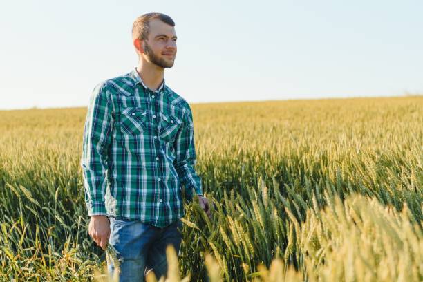istock Young farmer in a wheat field before the harvest. 1452740850
