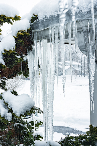 Multiple long, heavy, frozen solid winter icicle stalactites hanging over the edge of the overflowing roof gutter along the eaves and drainage downspouts of a suburban Rochester, New York State residential district house.