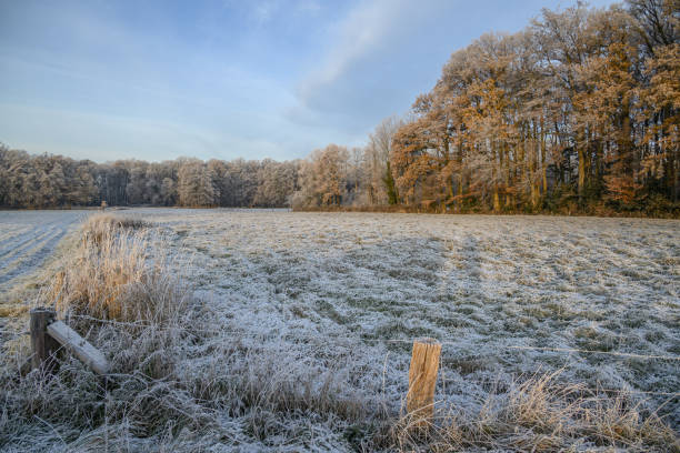 istock cold winter day in the german muensterland 1452747711