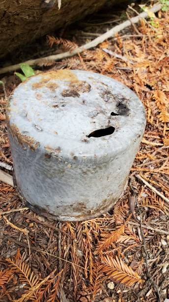 istock Old metal in woods 1452748534