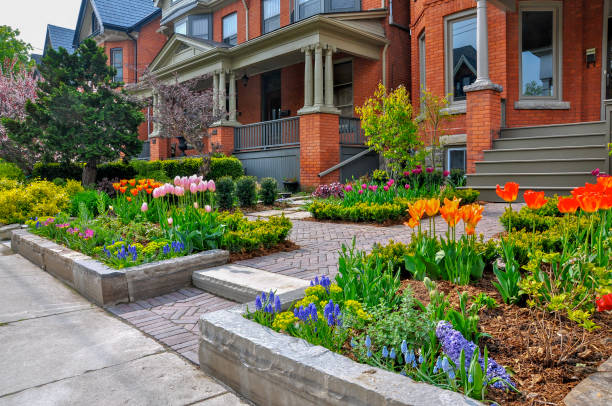 istock Beautiful spring garden with colourful bulbs 1452748724