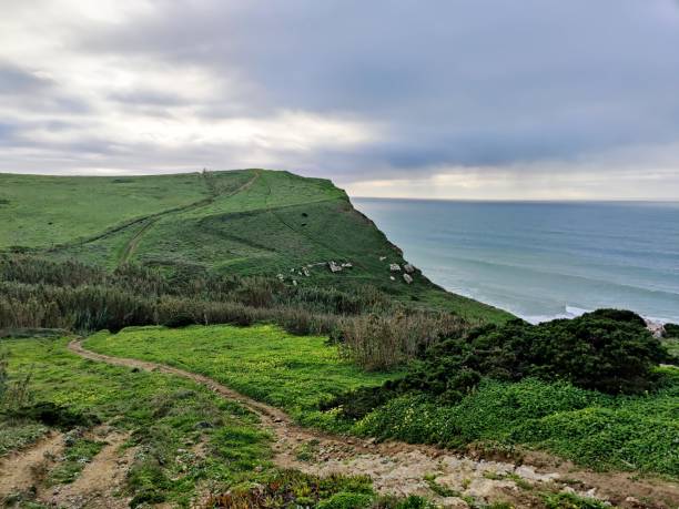 istock Green valley with sea on the background 1452748884