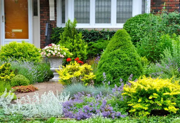 A front garden in summer filled with plants of varying colour and texture and no grass.