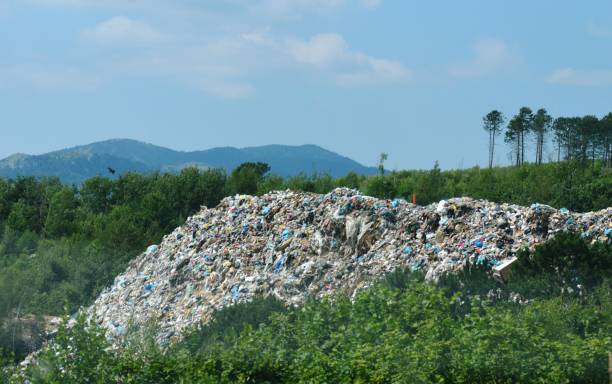 istock a pile of garbage and plastic in nature 1452750880