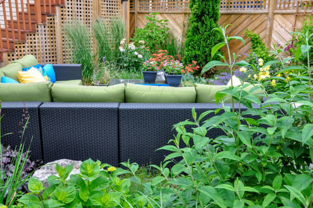istock Small downtown Toronto urban back yard garden in summer. 1452751793