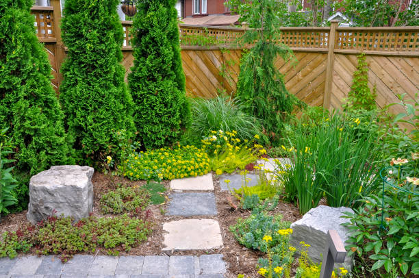 istock Small downtown Toronto urban back yard garden in summer. 1452751801