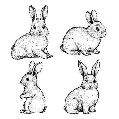 Hand drawn sketch style cute bunnies set. Easter spring animal symbols collection. Rabbit, farm animal. Vector illustrations isolated on white background.