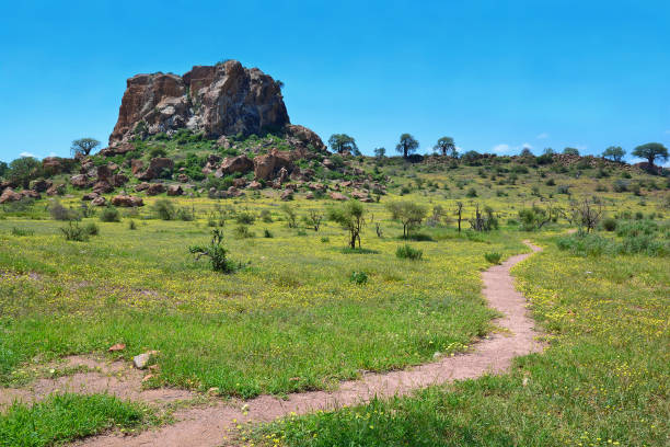 南アフリカ、マプングブエ国立公園の風景 - limpopo province ストックフォトと画像