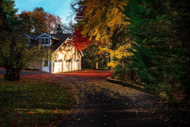 istock Pathway leading up to a wooden house surrounded by trees 1452753848