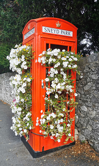 Red telephone box decorated with blooming flowers