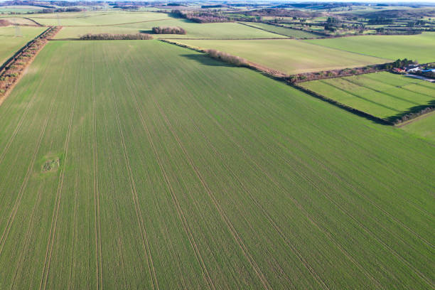 istock High Angle View of British Countryside 1452759580