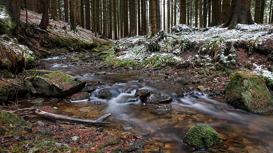 Fließendes Gewässer im winterlichen Wald