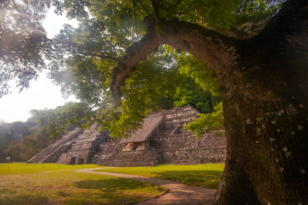 istock Beautiful Palenque Ruins,  pyramids and palace, Yucatan, Mexico 1452764108