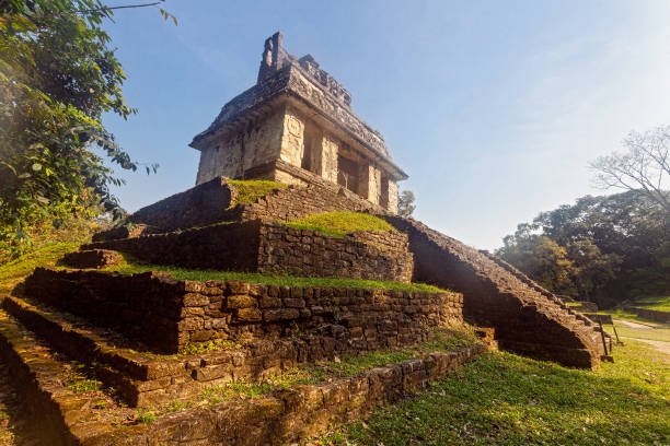 istock Beautiful Palenque Ruins,  pyramids and palace, Yucatan, Mexico 1452764184