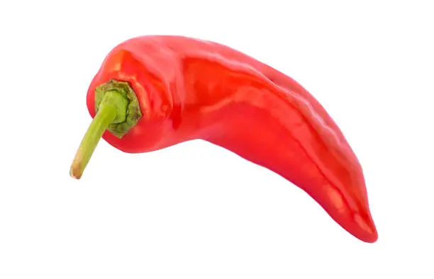 Red capi pepper on white background