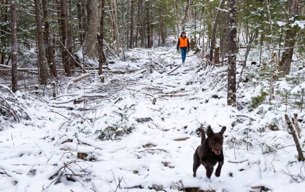 A teenager grouse hunting with his Labrador Retriever on a frosty Autumn day.