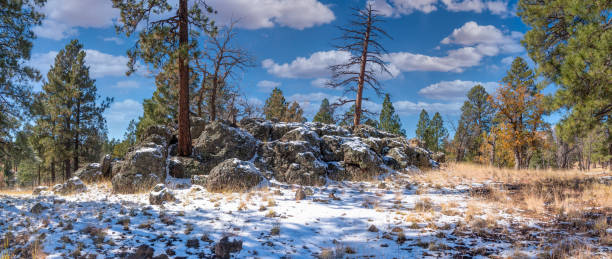 Snow Covered Rock Formation on Campbell Mesa Campbell Mesa is one of many wooded mesas in the Coconino National Forest of Northern Arizona.  On the west side of the mesa are stands of Ponderosa Pine interspersed with oak groves, grassy meadows and wildflowers.  On the east side the pine forest gives way to junipers and other scrub vegetation.  Campbell Mesa was named after Hugh E. Campbell, a prosperous local sheep rancher from Nova Scotia, Canada.  He was born on June 10, 1862 and came to Arizona in the early 1890's.  As a strong Democrat, he took a serious interest in civic affairs and was elected to the Arizona Senate and supported the prosperity and welfare of his community.  Campbell Mesa is now a popular destination for mountain biking, equestrian use and hiking.  This view of a snow covered rock formation was photographed on Campbell Mesa in the Coconino National Forest near Flagstaff, Arizona, USA. jeff goulden panoramic stock pictures, royalty-free photos & images