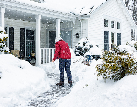 A senior adult woman is sprinkling/spreading chemical de-icing salt crystals on her home's front walkway to melt the slippery ice and snow. Blizzard snow storm extreme weather conditions in this suburban residential district near Rochester, New York continue adding to the already deep and drifting snow.