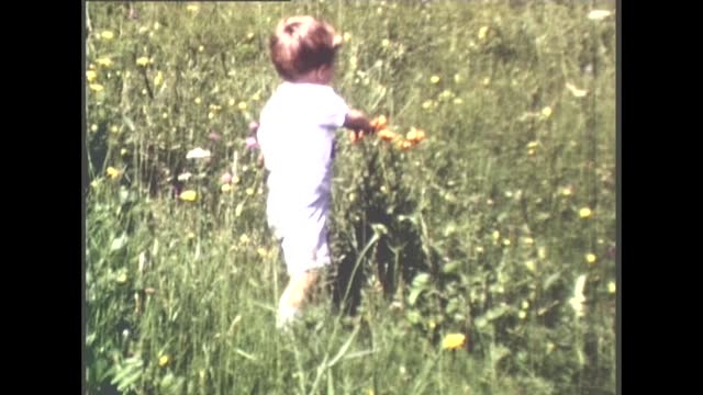 70's 8mm Footage - Little Boy in 1970s Picking Flowers on Mountain Meadow in Summer