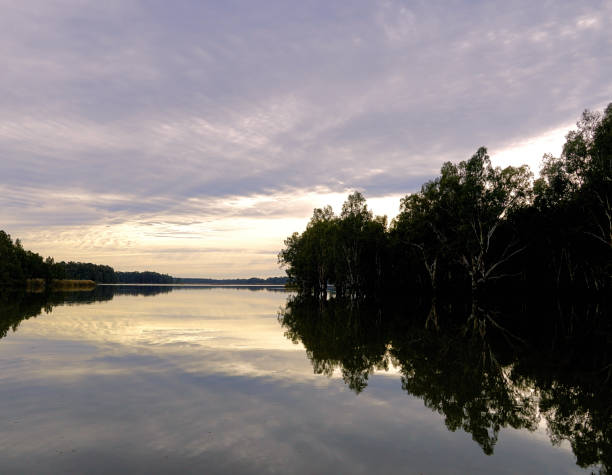 The Barmah Lake in flood times in the Northern Country
