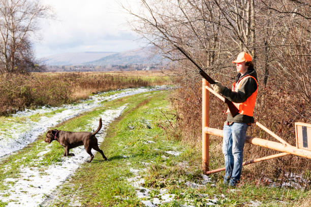 A teenager pheasant hunting with his Labrador Retriever on a frosty Autumn day.